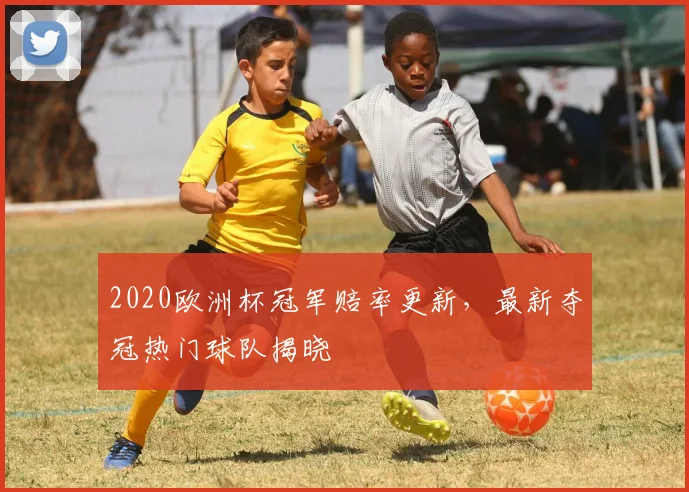 2020欧洲杯冠军赔率更新,最新夺冠热门球队揭晓