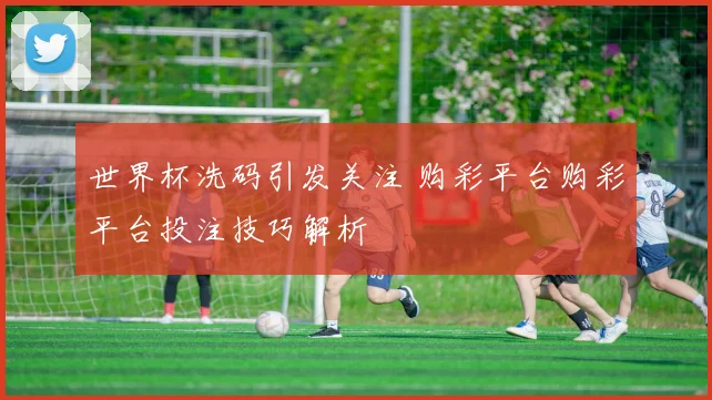 世界杯洗码引发关注 购彩平台购彩平台投注技巧解析