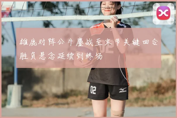 雄鹿对阵公牛鏖战至末节关键回合胜负悬念延续到终场